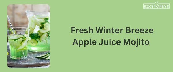 Apple Juice Mojito - Winter Vodka Cocktail