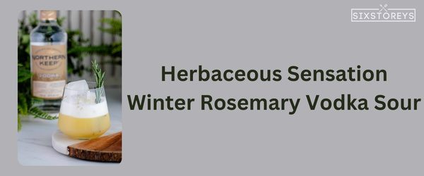 Winter Rosemary Vodka Sour - Winter Vodka Cocktail