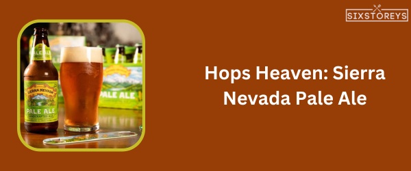 Sierra Nevada Pale Ale - Best Beer For Beer Cheese in 2023