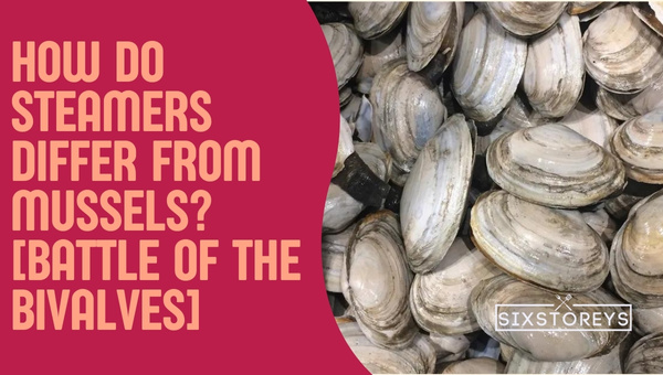 How Do Steamers Differ from Mussels? [Battle of the Bivalves]