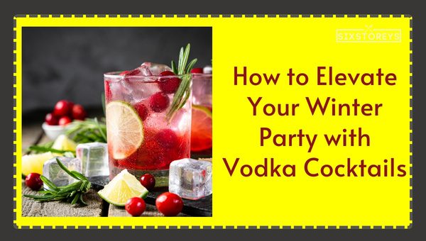 How to Elevate Your Winter Party with Vodka Cocktails?