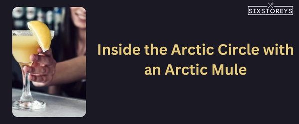 Arctic Mule - Winter Vodka Cocktail