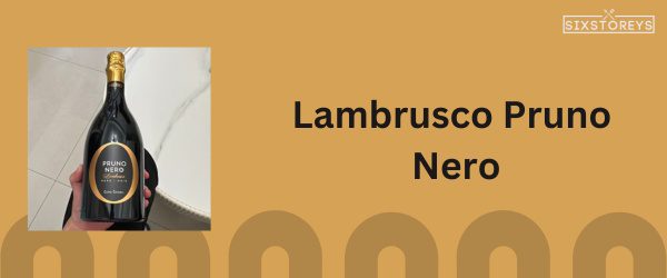 Lambrusco Pruno Nero - Best Semi Sweet Red Wine