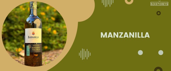 Manzanilla - Best Wine For Charcuterie Board in 2024