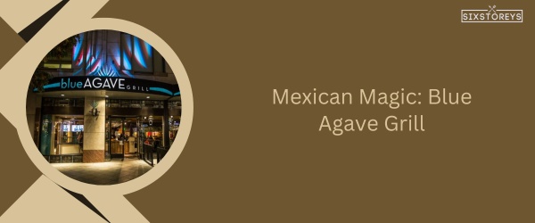 Blue Agave Grill - Best Restaurant in Fort Collins