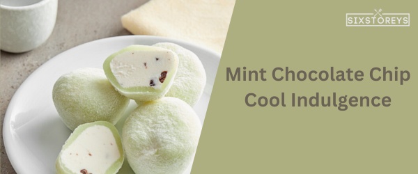 Mint Chocolate Chip - Best Mochi Ice Cream Flavor