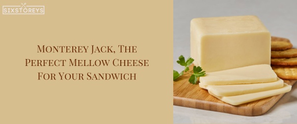 Monterey Jack - Best Cheese For a Turkey Sandwich
