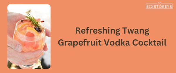 Grapefruit Vodka Cocktail - Winter Vodka Cocktail