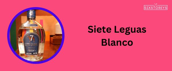 Siete Leguas Blanco - Best Tequila To Drink On The Rocks in 2024