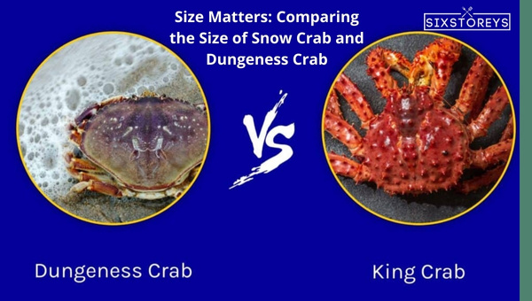 Size Matters: Comparing the Size of Snow Crab and Dungeness Crab