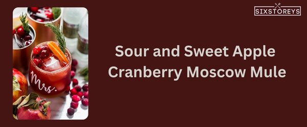 Apple Cranberry Moscow Mule - Winter Vodka Cocktail
