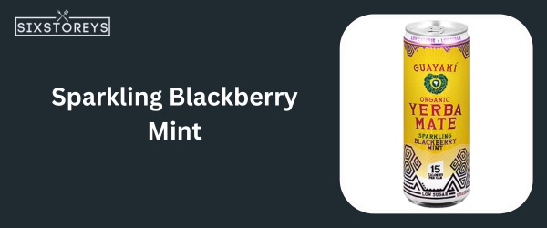 Sparkling Blackberry Mint - Best Yerba Mate Flavor