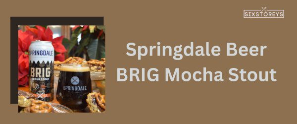 Springdale Beer BRIG Mocha Stout - Best Beer For Beer Can Chicken