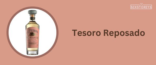 Tesoro Reposado - Best Tequila To Drink On The Rocks in 2024