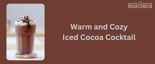 Iced Cocoa Cocktail - Winter Vodka Cocktail