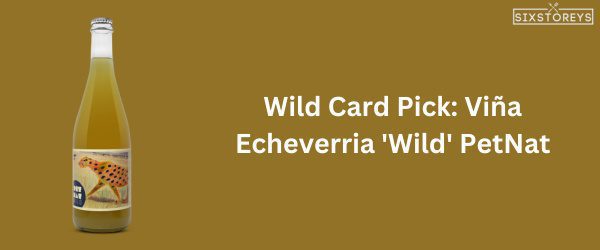 Viña Echeverria 'Wild' PetNat - Best Chardonnay Wine of 2024