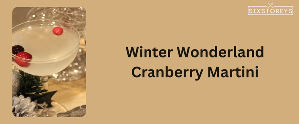 Cranberry Martini - Winter Vodka Cocktail