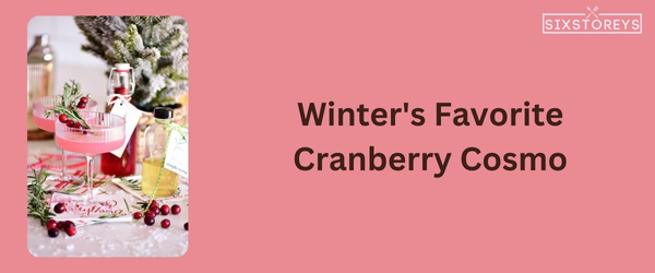 Cranberry Cosmo - Winter Vodka Cocktail