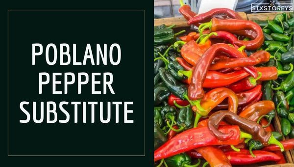 Best Poblano Pepper Substitutes of 2023