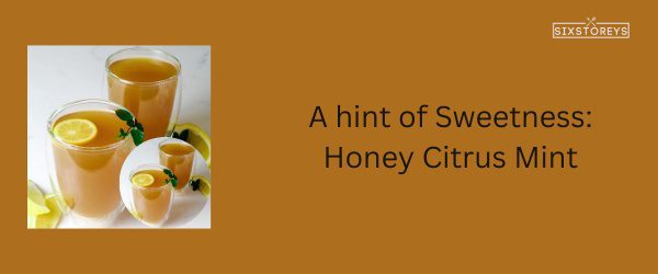 Honey Citrus Mint - Best Starbucks Tea Drink