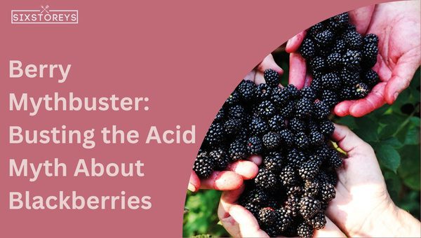 Berry Mythbuster: Busting the Acid Myth About Blackberries