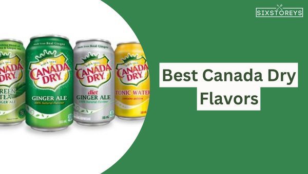 15 Best Canada Dry Flavors of 2023