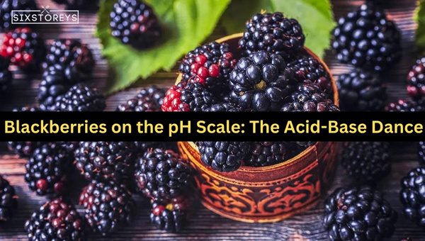 Blackberries on the pH Scale: The Acid-Base Dance