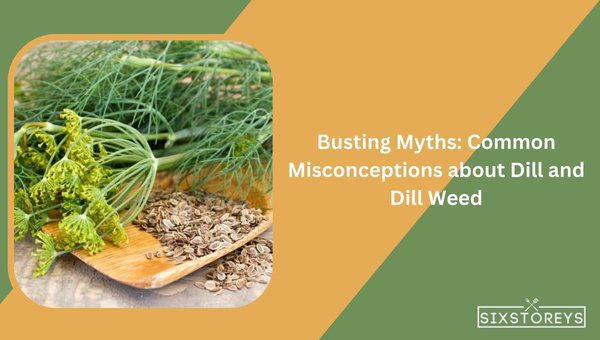 Busting Myths: Common Misconceptions about Dill and Dill Weed