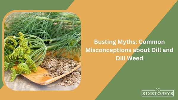 Busting Myths: Common Misconceptions about Dill and Dill Weed