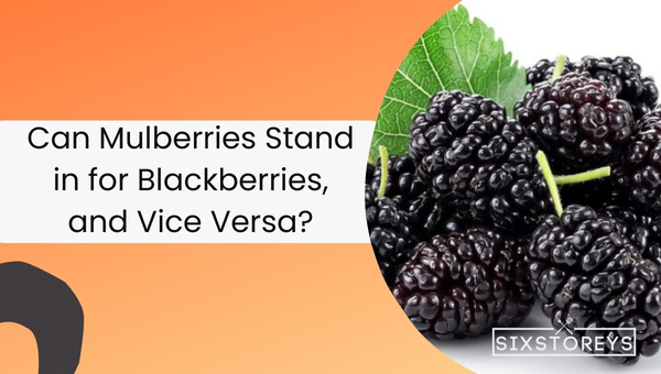 Can Mulberries Stand in for Blackberries, and Vice Versa?