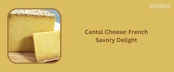 Cantal Cheese - Best Cheese For Chicken Sandwich