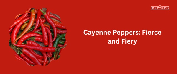 Cayenne Peppers - Best Poblano Pepper Substitute