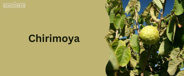 Chirimoya - Best Food That Start with Chi