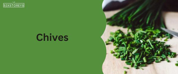 Chives - Best Food That Start with Chi