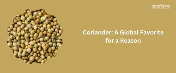 Coriander - Best Substitutes for Dried Savory of 2025
