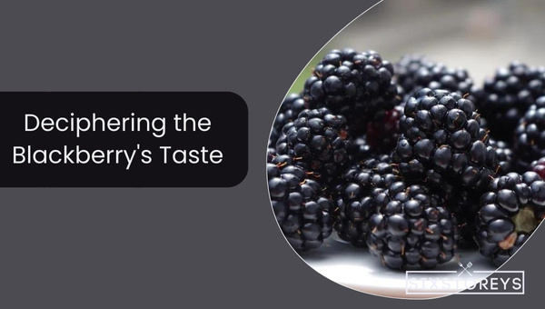 Deciphering the Blackberry's Taste