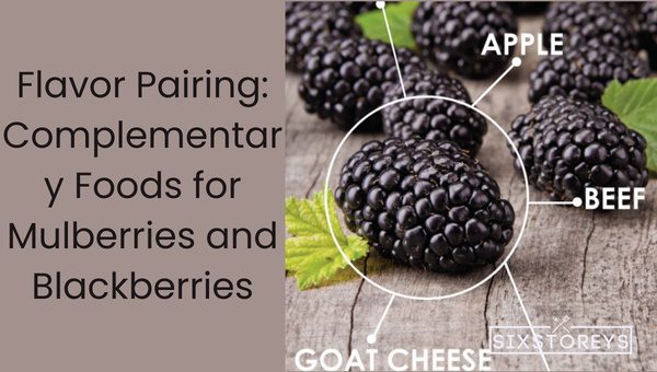 Mulberry Vs Blackberry: Which is Worth the Hype? 18 Flavor Pairing: Complementary Foods for Mulberries and Blackberries