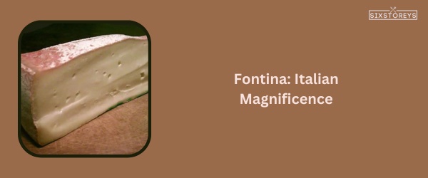 Fontina Cheese - Best Cheese For Chicken Sandwich