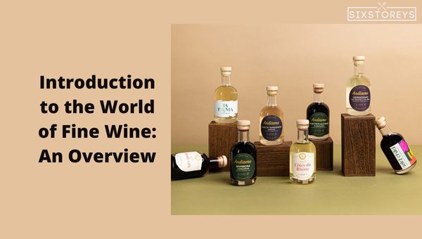 Introduction to the World of Fine Wine: An Overview