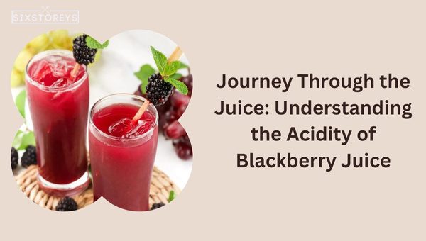 Journey Through the Juice: Understanding the Acidity of Blackberry Juice