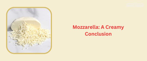 Mozzarella Cheese - Best Cheese For Chicken Sandwich