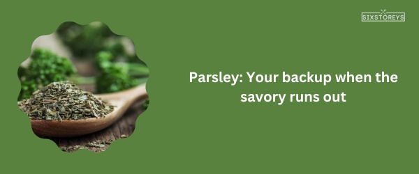 Parsley - Best Substitutes for Dried Savory of 2023