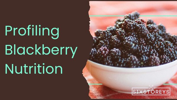 Mulberry Vs Blackberry: Which is Worth the Hype? 8 Profiling Blackberry Nutrition