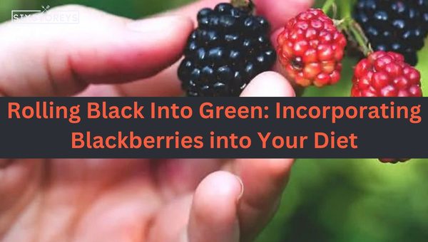 Rolling Black Into Green: Incorporating Blackberries into Your Diet