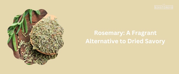 Rosemary - Best Substitutes for Dried Savory of 2023