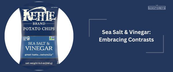 Sea Salt & Vinegar - Best Kettle Chips Flavor