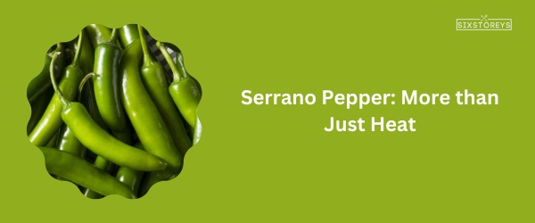 Serrano Pepper - Best Poblano Pepper Substitute