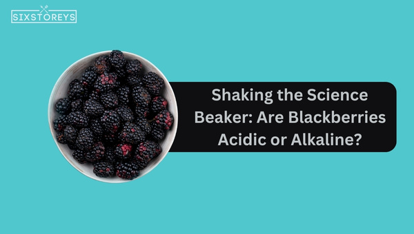 Are Blackberries Acidic or Alkaline?