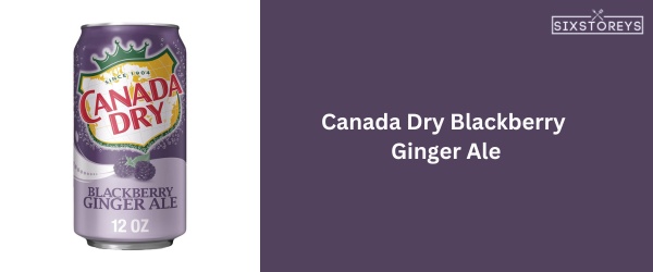 Canada Dry Blackberry Ginger Ale - Best Canada Dry Flavor of 2023