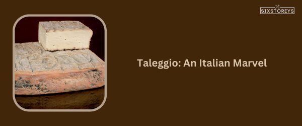 Taleggio Cheese - Best Cheese For Chicken Sandwich